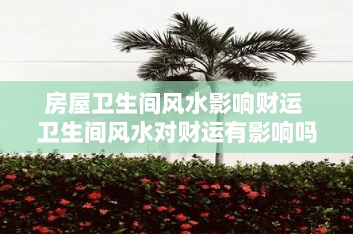 房屋卫生间风水影响财运 卫生间风水对财运有影响吗