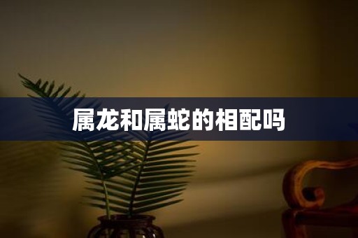 属龙和属蛇的相配吗