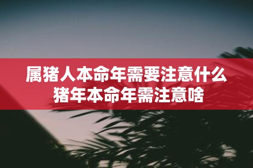 属猪人本命年需要注意什么 猪年本命年需注意啥