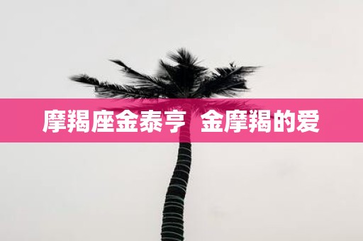 摩羯座金泰亨 金摩羯的爱