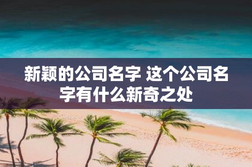 新颖的公司名字 这个公司名字有什么新奇之处