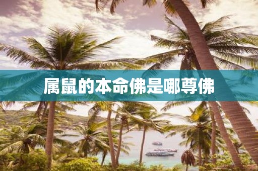 属鼠的本命佛是哪尊佛