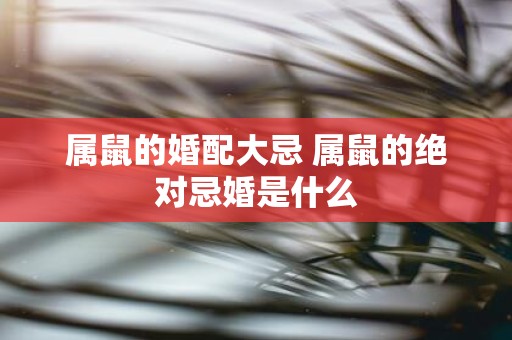 属鼠的婚配大忌 属鼠的绝对忌婚是什么