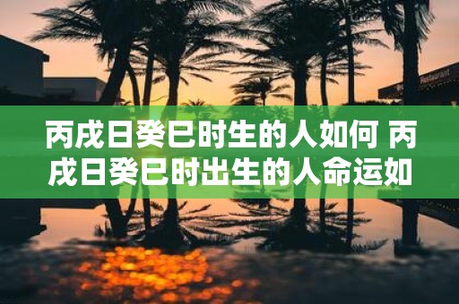 丙戌日癸巳时生的人如何 丙戌日癸巳时出生的人命运如何
