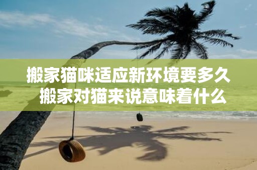 搬家猫咪适应新环境要多久 搬家对猫来说意味着什么