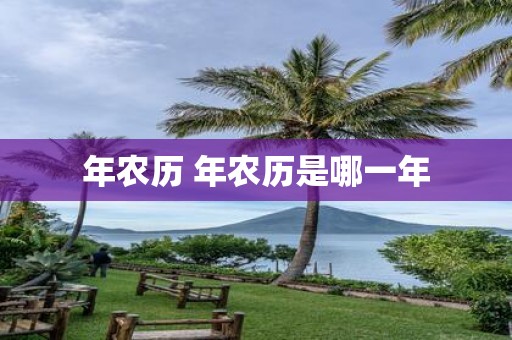 年农历 年农历是哪一年