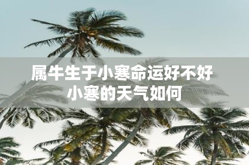 属牛生于小寒命运好不好 小寒的天气如何