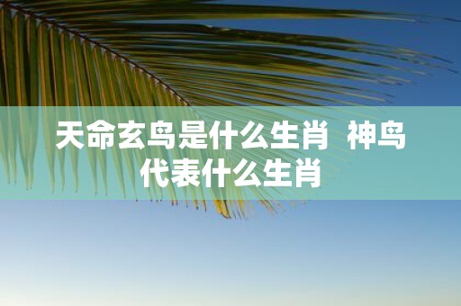 天命玄鸟是什么生肖 神鸟代表什么生肖