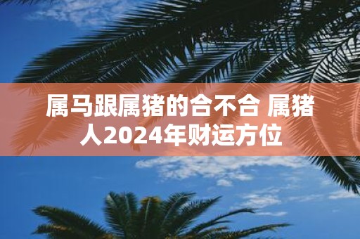 属马跟属猪的合不合 属猪人2025年财运方位