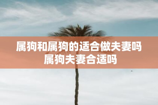 属狗和属狗的适合做夫妻吗 属狗夫妻合适吗