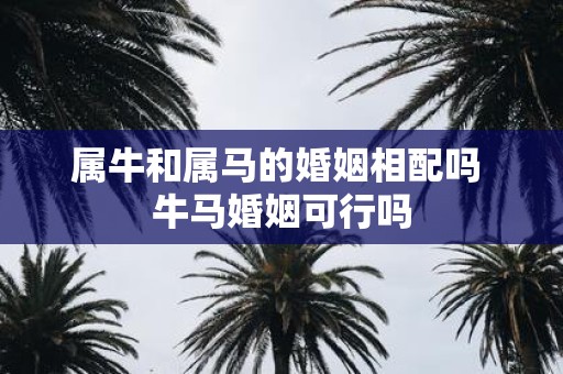 属牛和属马的婚姻相配吗 牛马婚姻可行吗