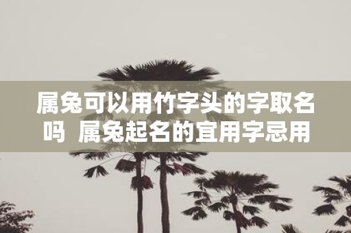 属兔可以用竹字头的字取名吗 属兔起名的宜用字忌用字