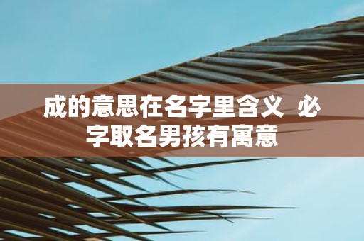 成的意思在名字里含义 必字取名男孩有寓意