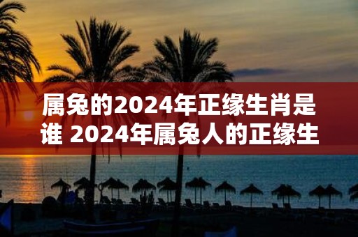 属兔的2025年正缘生肖是谁 2025年属兔人的正缘生肖是什么