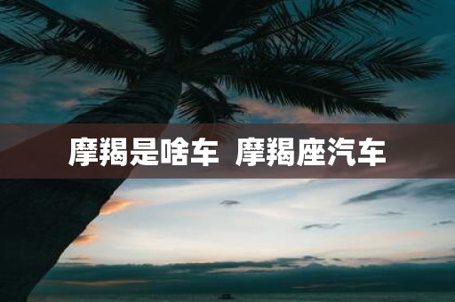 摩羯是啥车 摩羯座汽车