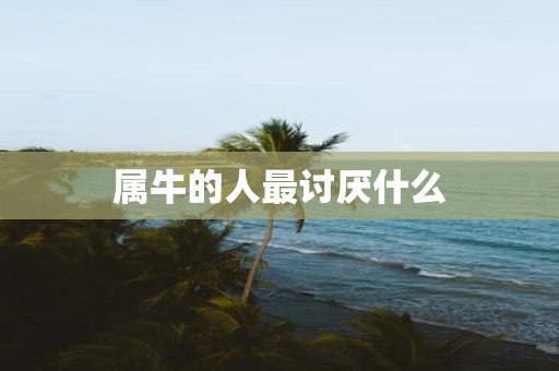 属牛的人最讨厌什么