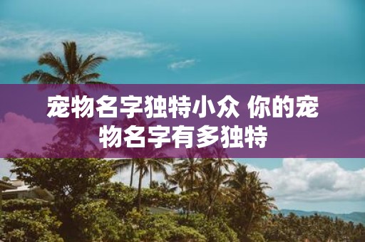 宠物名字独特小众 你的宠物名字有多独特