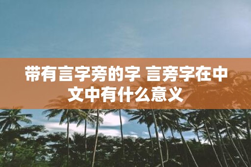 带有言字旁的字 言旁字在中文中有什么意义