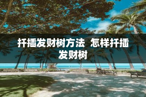 扦插发财树方法 怎样扦插发财树