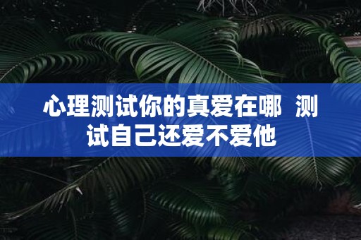 心理测试你的真爱在哪 测试自己还爱不爱他