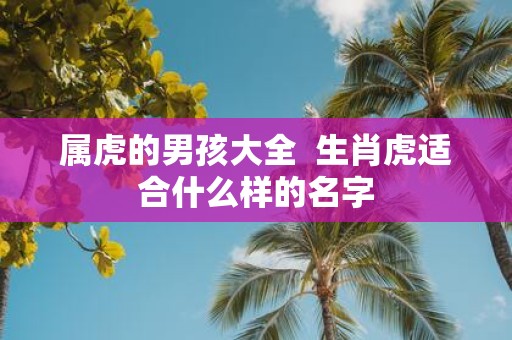 属虎的男孩大全 生肖虎适合什么样的名字