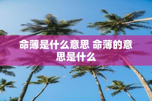 命薄是什么意思 命薄的意思是什么
