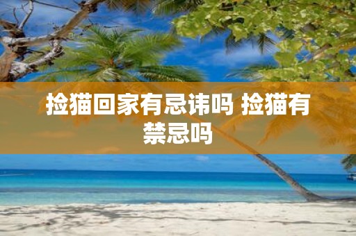 捡猫回家有忌讳吗 捡猫有禁忌吗