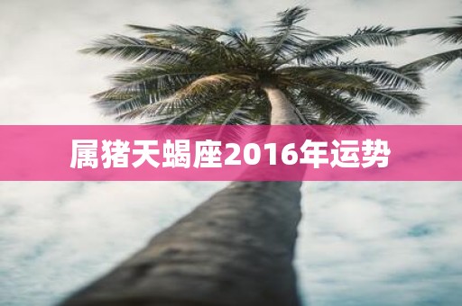 属猪天蝎座2016年运势