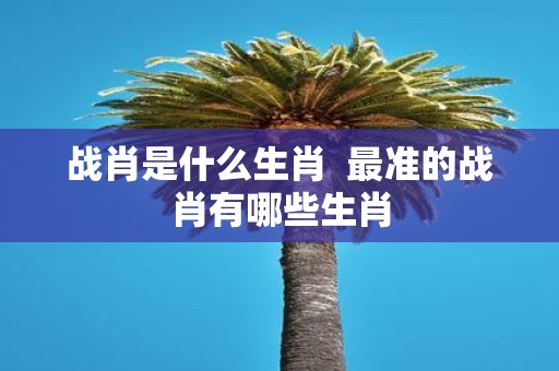 战肖是什么生肖 最准的战肖有哪些生肖