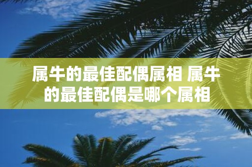 属牛的最佳配偶属相 属牛的最佳配偶是哪个属相