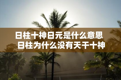 日柱十神日元是什么意思 日柱为什么没有天干十神