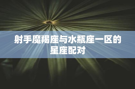 射手魔羯座与水瓶座一区的星座配对