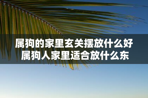 属狗的家里玄关摆放什么好 属狗人家里适合放什么东西