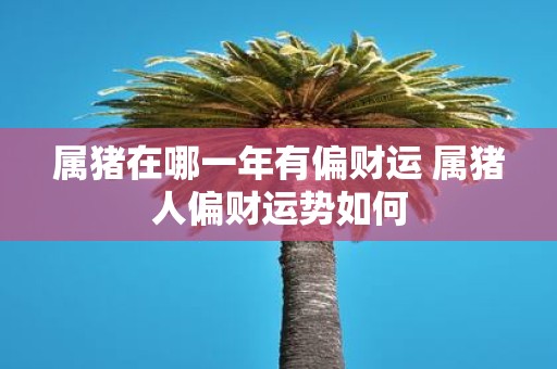 属猪在哪一年有偏财运 属猪人偏财运势如何