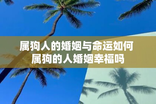 属狗人的婚姻与命运如何 属狗的人婚姻幸福吗