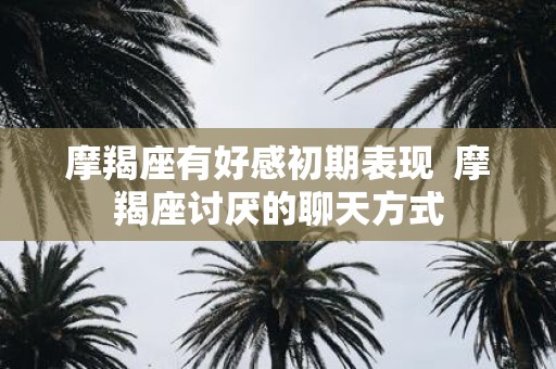 摩羯座有好感初期表现 摩羯座讨厌的聊天方式