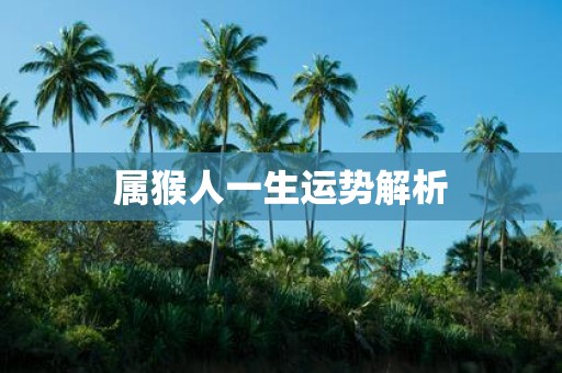 属猴人一生运势解析