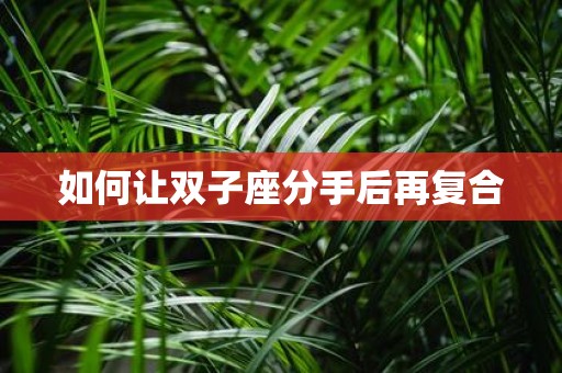 如何让双子座分手后再复合