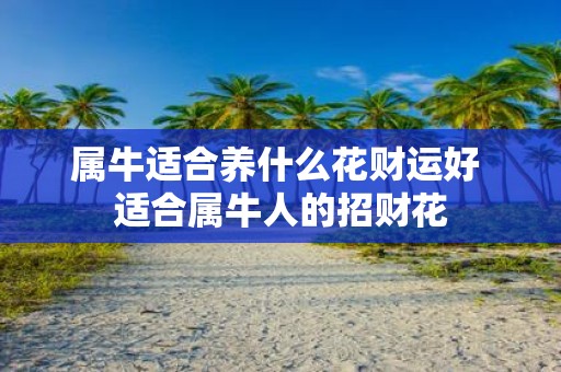 属牛适合养什么花财运好 适合属牛人的招财花