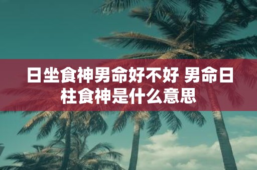 日坐食神男命好不好 男命日柱食神是什么意思