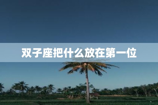双子座把什么放在第一位