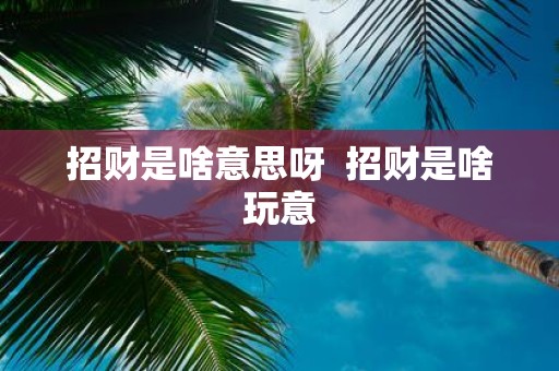 招财是啥意思呀 招财是啥玩意