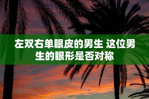 左双右单眼皮的男生 这位男生的眼形是否对称