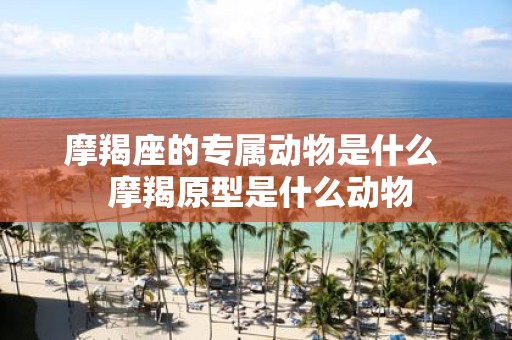 摩羯座的专属动物是什么 摩羯原型是什么动物