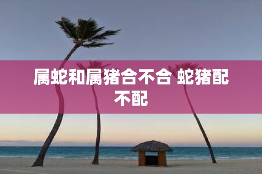属蛇和属猪合不合 蛇猪配不配