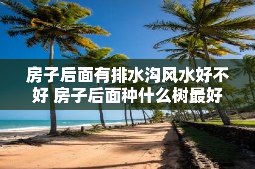 房子后面有排水沟风水好不好 房子后面种什么树最好