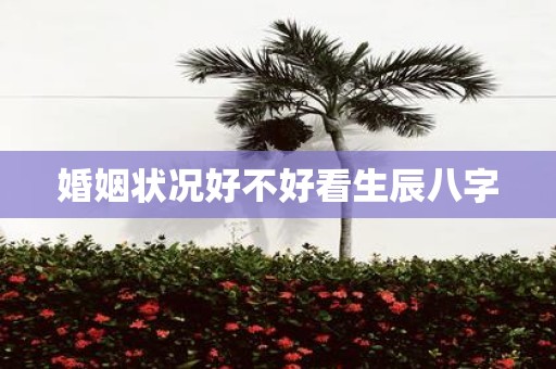 婚姻状况好不好看生辰八字