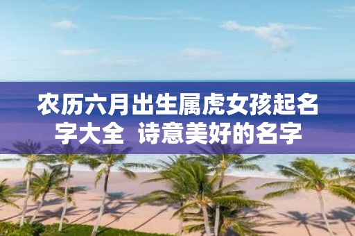 农历六月出生属虎女孩起名字大全 诗意美好的名字