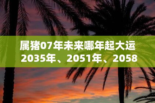 属猪07年未来哪年起大运 2035年、2051年、2058年