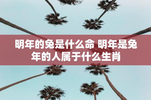 明年的兔是什么命 明年是蛇年的人属于什么生肖